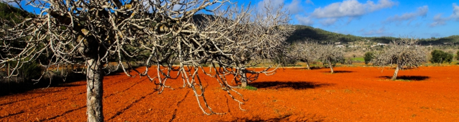 Balearen, Balearische Inseln, Ibiza