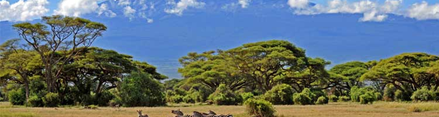 Kenia, Mombasa
