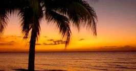 Jamaika, Karibik, Karibischen Meer, Strand, Meer, Palmen, Sonnenuntergang
