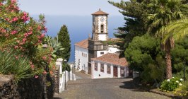 La Palma, Kanarische Inseln, Kanaren, Spanien, Mazo, Gemeinde, Dorf