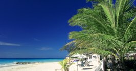 Barbados, Karibik, Karibische Inseln, Atlantischer Ozean, Strand, Urlaub, Landschaft, Tropisch, Eiland