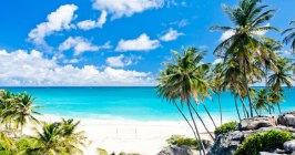 Barbados, Strand, Palmen, Karibik, Landschaft, Tropisch, Bottom Bay, Atlantischer Ozean
