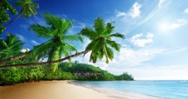 Indischer Ozean Strand Welle Meer Seychellen Sommer Urlaub