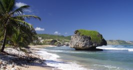 Barbados, Karibik, Karibische Inseln, Atlantischer Ozean, Strand, Landschaft, Felsen, Tropisch, Eiland