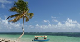 Karibik Strand Meer Urlaub Reise