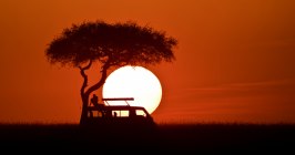 Afrika, Kenia, Safari, Sonnenuntergang