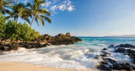 USA, Hawaii, Strand, Urlaub, Reise