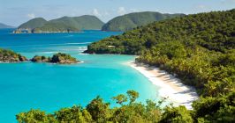 Karibik Strand Tropische Insel Landschaft Palme