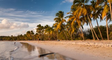 Martinique, Antillen, Strand, Karibik, Kokospalme, Frankreich, Meer, Landschaft, Eiland