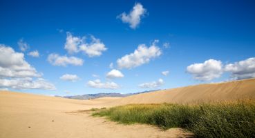 Spanien Gran Canaria Kanarische Inseln Kanaren Strand Wüste Dünen