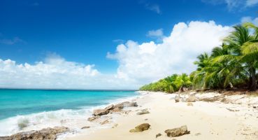 Karibik Dominikanische Republik Strand Meer Palmen Urlaub Reisen
