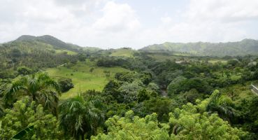 Karibik Dominikanische Republik Regenwald Gebirge Berg